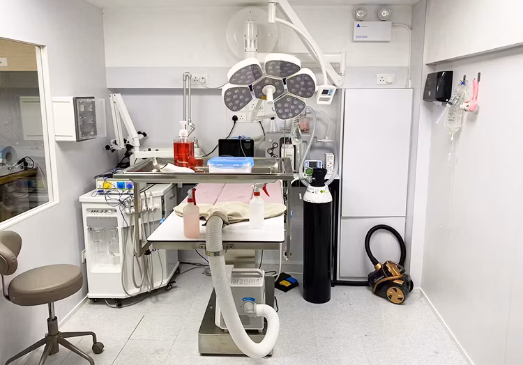 División Veterinaria — equipamiento médico veterinario